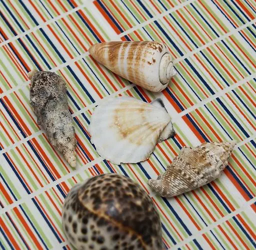 Apartment Mykonos Marina *